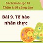 Chức Năng Màng Sinh Chất Của Tế Bào Nhân Sơ