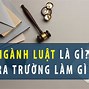 Ngành Luật Sư Nên Học Trường Nào