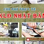 Xuất Khẩu Lao Động Nhật Năm 2024